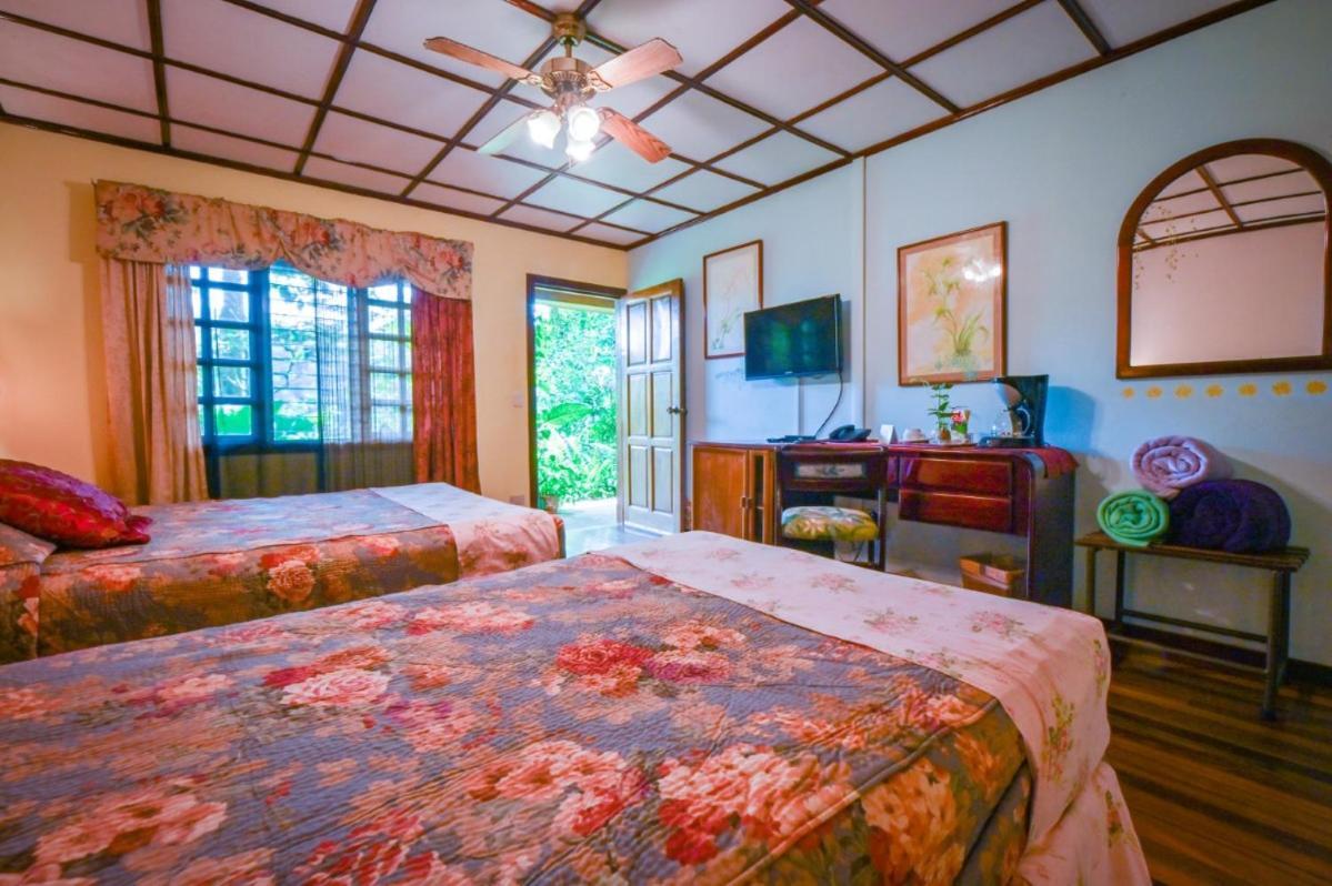 Lands In Love Hotel And Resort Colonia Palmareña 외부 사진